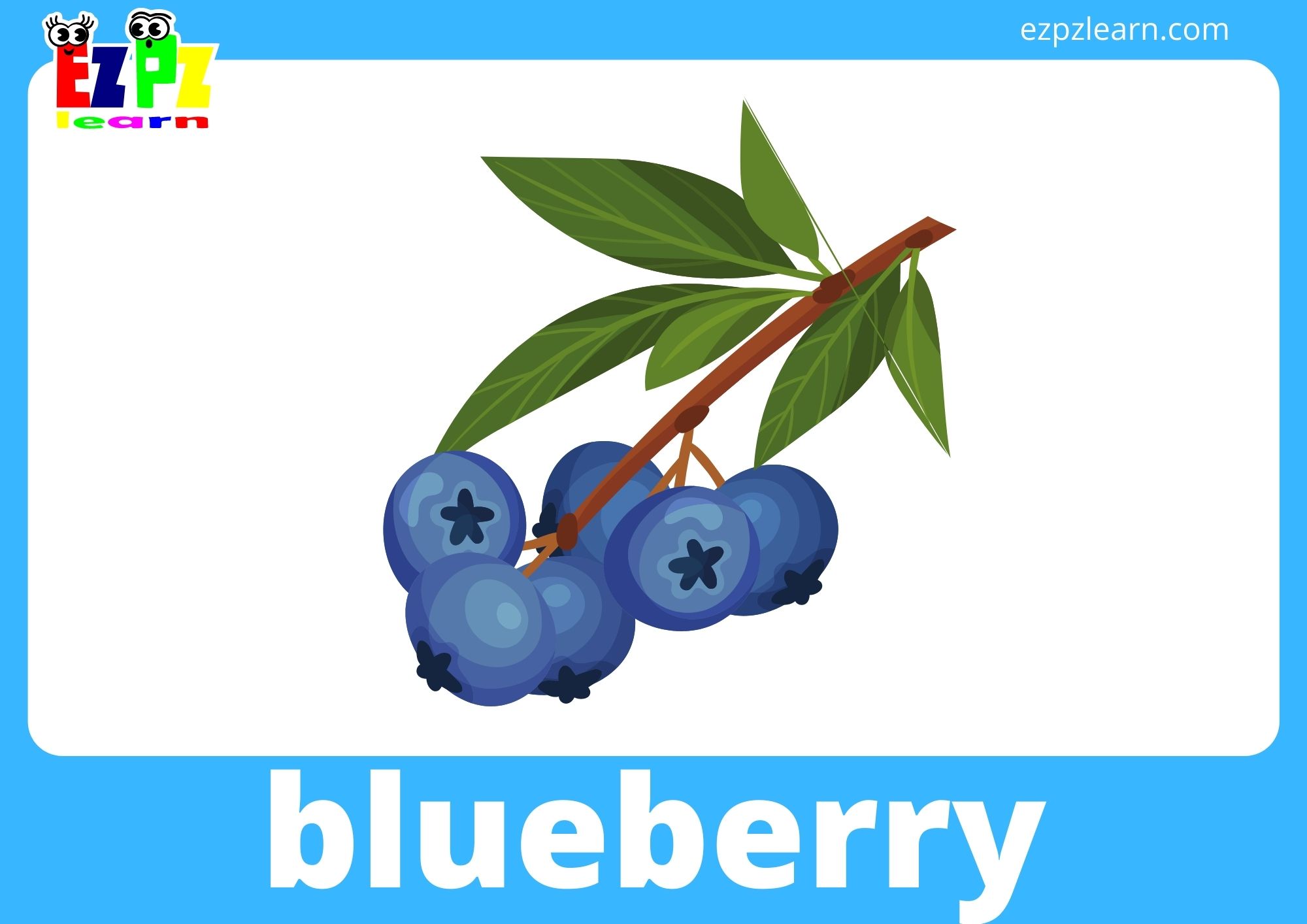 blueberry